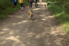 IMG_5914