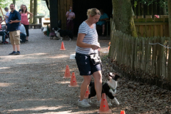 Huetehunde-in-Lueneburg-1-von-1
