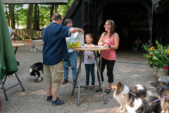 Huetehunde-in-Lueneburg-113-von-116