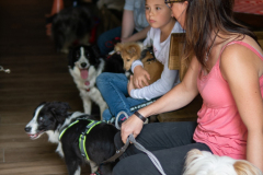 Huetehunde-in-Lueneburg-13-von-116