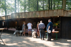 Huetehunde-in-Lueneburg-17-von-116