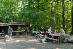 Huetehunde-in-Lueneburg-20-von-116