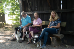 Huetehunde-in-Lueneburg-21-von-116