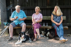Huetehunde-in-Lueneburg-24-von-116