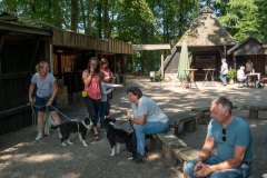 Huetehunde-in-Lueneburg-26-von-116