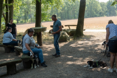 Huetehunde-in-Lueneburg-28-von-116