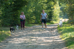 Huetehunde-in-Lueneburg-42-von-116