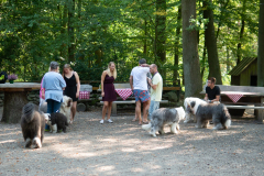 Huetehunde-in-Lueneburg-6-von-116