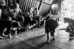 Huetehunde-in-Lueneburg-61-von-116