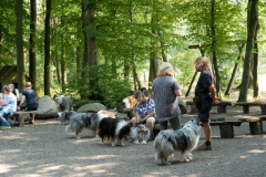 Huetehunde-in-Lueneburg-66-von-116
