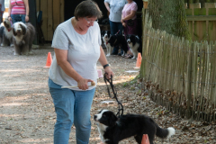 Huetehunde-in-Lueneburg-76-von-116