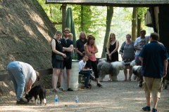 Huetehunde-in-Lueneburg-77-von-116