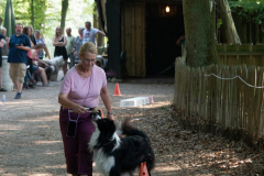 Huetehunde-in-Lueneburg-80-von-116