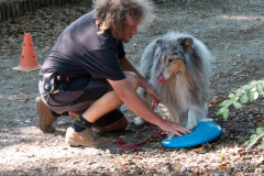 Huetehunde-in-Lueneburg-81-von-116