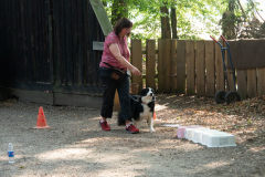 Huetehunde-in-Lueneburg-85-von-116