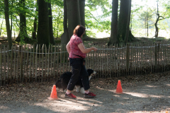 Huetehunde-in-Lueneburg-88-von-116