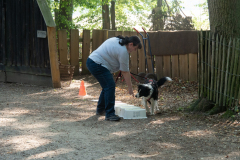 Huetehunde-in-Lueneburg-93-von-116