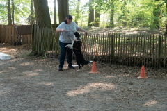 Huetehunde-in-Lueneburg-94-von-116