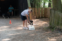 Huetehunde-in-Lueneburg-98-von-116