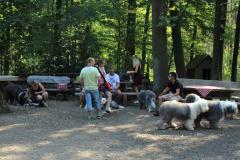 IMG_3974_2