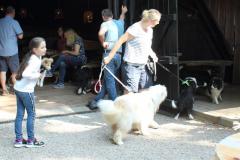 IMG_3979_2