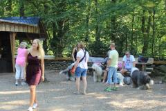IMG_3982_2