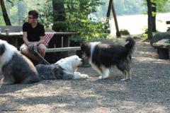IMG_3985_2