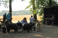 IMG_3993_2