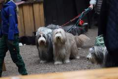 FB_IMG_1695635879962