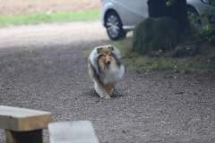 FB_IMG_1695635898319