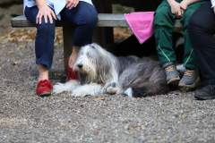 FB_IMG_1695635901066