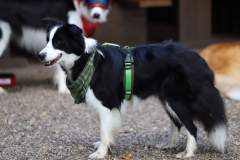 FB_IMG_1695635912813