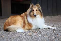 FB_IMG_1695635917120