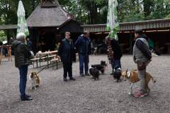 FB_IMG_1695635946921