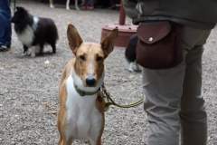 FB_IMG_1695635959026