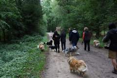 FB_IMG_1695635991713