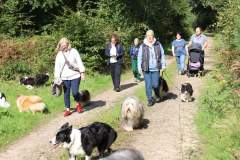 FB_IMG_1695636094081