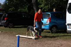 FB_IMG_1695636175053