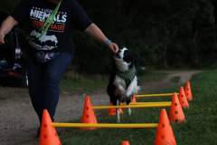 FB_IMG_1695636193966