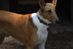 FB_IMG_1722259680290