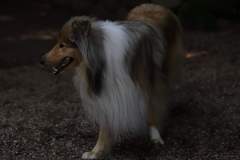 FB_IMG_1722259684115