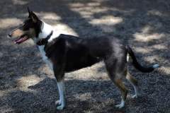 FB_IMG_1722259687784