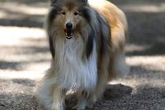 FB_IMG_1722259691647