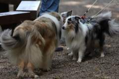 FB_IMG_1722259694544