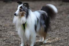 FB_IMG_1722259704436