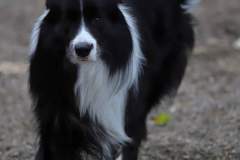 FB_IMG_1722259711252