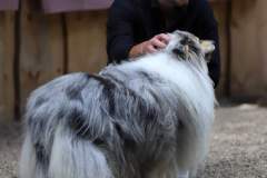 FB_IMG_1722259714038