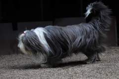 FB_IMG_1722259719502