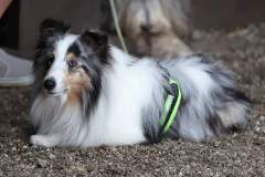 FB_IMG_1722259766733