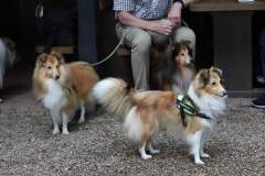 FB_IMG_1722259778331